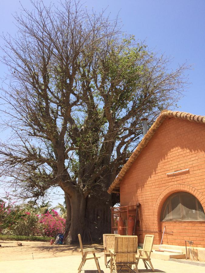 Baobab Lodge Fadial Exterior foto